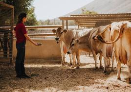 El mejor queso de Canarias está en Lanzarote