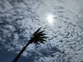 Las temperaturas y el viento dan un respiro este domingo en Canarias