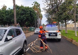El Gobierno de Canarias recomienda el teletrabajo en las cuatro islas principalmente afectadas por la alerta: El Hierro, La Gomer, La Palma y Tenerife.