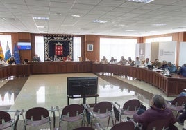 Pleno de este martes en el Cabildo.