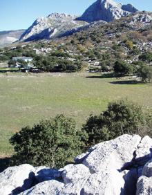 Imagen secundaria 2 - Camino que une a Alfarnatejo con Alfarnate | Vista general de Alfarnatejo con el telón de fondo de los tajos | Entorno de Alfarnatejo