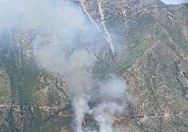 Incendio forestal en el paraje de Valtocado.