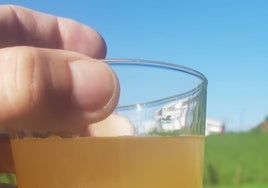 Un vaso de agua del grifo de la cooperativa de Espiniella, en el concejo de Siero.