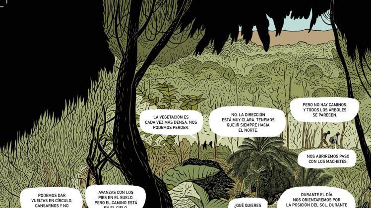 Imagen - 