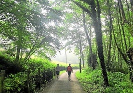 Los alrededores de San Joan Xar, un lugar precioso con una energía especial.