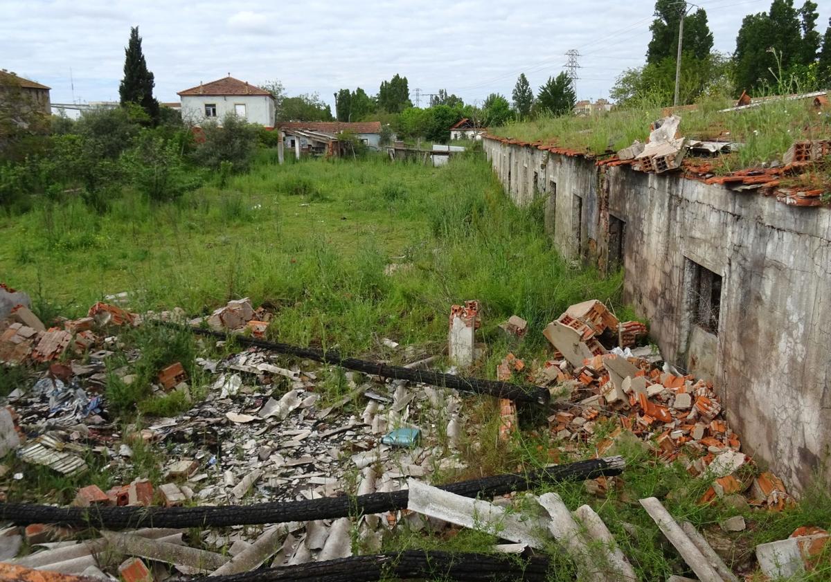 Imagen principal - Arriba, edificaciones demolidas y en mal estado en el interior de la antigua explotación. Debajo, a la izquierda, detalle del rótulo en una esquina de la Granja Luisa. A la derecha, cristales en los muros para evitar el acceso a la parcela municipal
