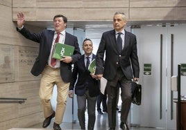 Diputados de Vox acceden al hemiciclo para la sesión plenaria.