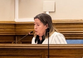 Purificación Martín, durante una intervención en una sesión plenaria.