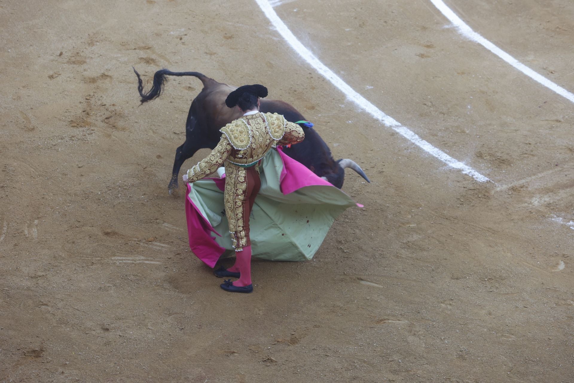Fotos | Así ha sido el festejo de Morante y Roca Rey en la Feria de San Fernando de Cáceres