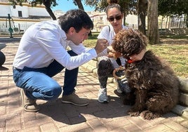 Huércal de Almería pone en marcha el 'ADN canino' para limpiar las calles de heces