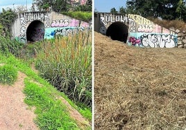 Estado del cauce del río Beiro, a su paso por Casería de Montijo, antes y después de la limpieza.