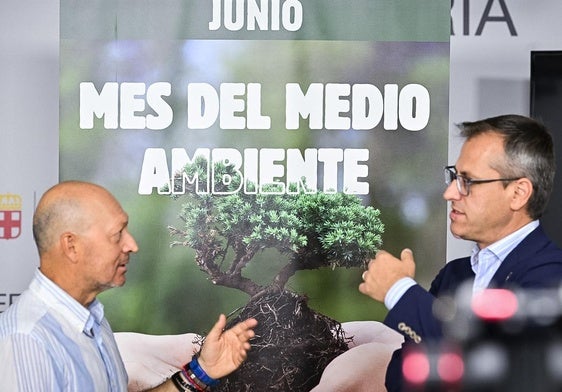 Se buscan aliados de la biodiversidad urbana para salvar vencejos