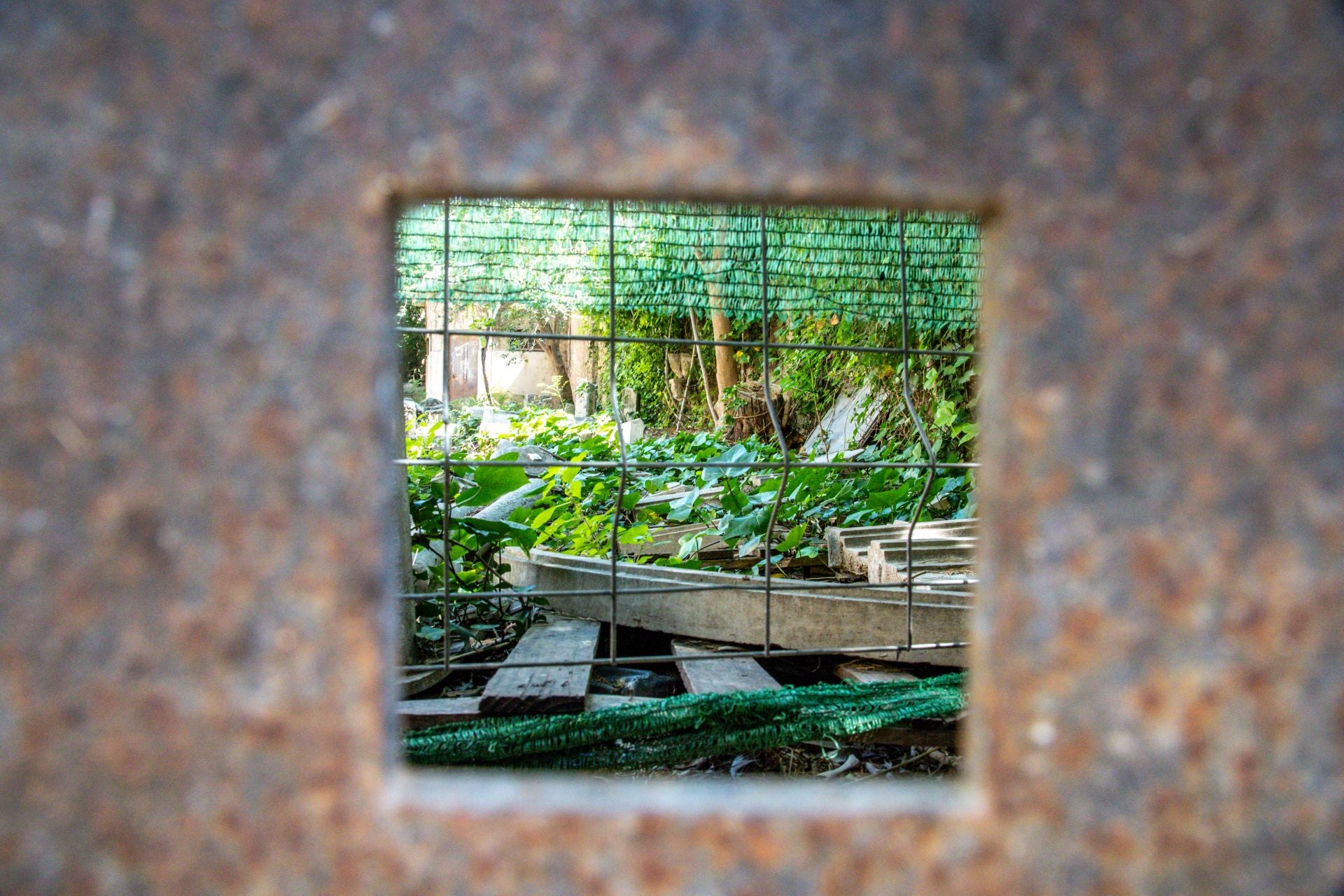 FOTOS | Dejadez y desperfectos en los jardines de Viveros de Valencia
