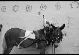 Los toros y la infancia