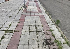Suciedad y vegetación en una acera de Trobajo del Camino.