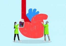 ¿Ellos o ellas? ¿Quién tiene más riesgo de sufrir un infarto o un ictus?