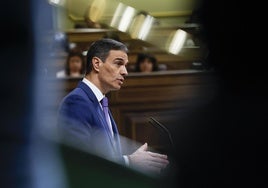 El presidente del Gobierno, Pedro Sánchez, interviene durante un pleno en el Congreso.