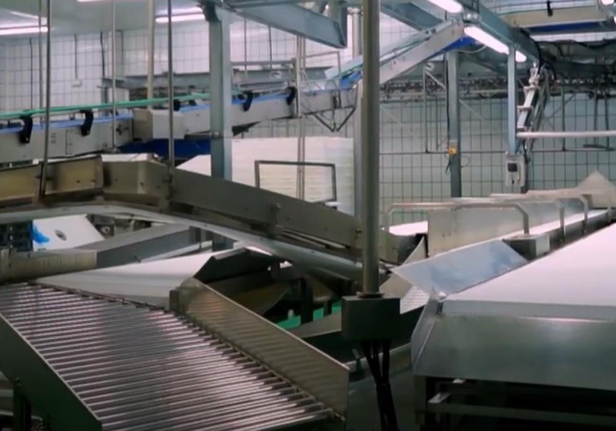 Subastan un matadero industrial con un 81% de descuento en un pueblo de Salamanca