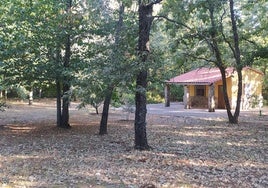 La finca de recreo en venta en un pueblo de Salamanca que es un refugio de robles y castaños