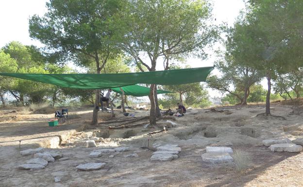 La zona de Rojales donde ha tenido lugar el atisbamiento.