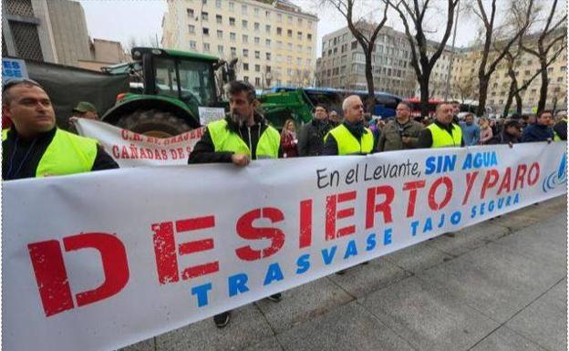 Tirón de orejas del Consejo de Estado al Gobierno: ni equilibrio, ni transparencia ni coordinación