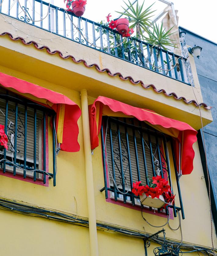 Imagen secundaria 2 - Detalles de la casa más patriótica de España.